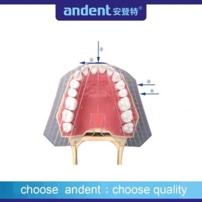 Dental Plastic PP Material Guide Plate Ruler