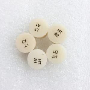 Ceramics Material Lithium Disilicate Glass Ceramic Press Ingots on Zirconia