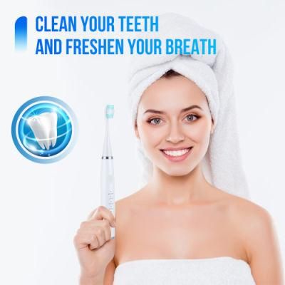 Custom Logo Ultrasonic Tooth Cleaner Electric Dental Calculus Remover Plaque Tartar Removal Teeth Cleaning Tool