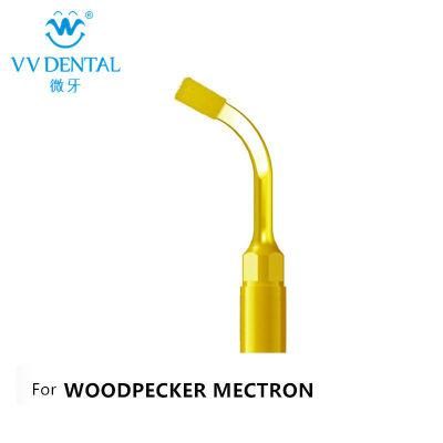 Dental Surgery Equipment Compatible with Woodpecker/Mectron/NSK Scaler