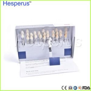 Dental Whitening German Authentic Vita Tooth Guide 3D Shade Guide