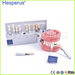 Colors Luxary Packing Dental Whitening 3D Shade Guide Color Comparator with Mirror Teeth Whitening Accelerator