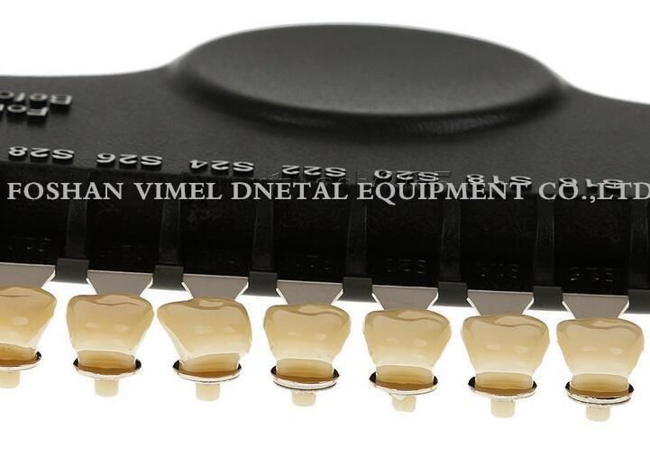 Teeth Whitening Dental 3D Shade Guide for Bleaching Use