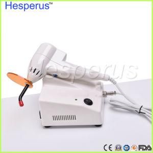 Dental LED Curing Light Halogen Curing Light Hesperus