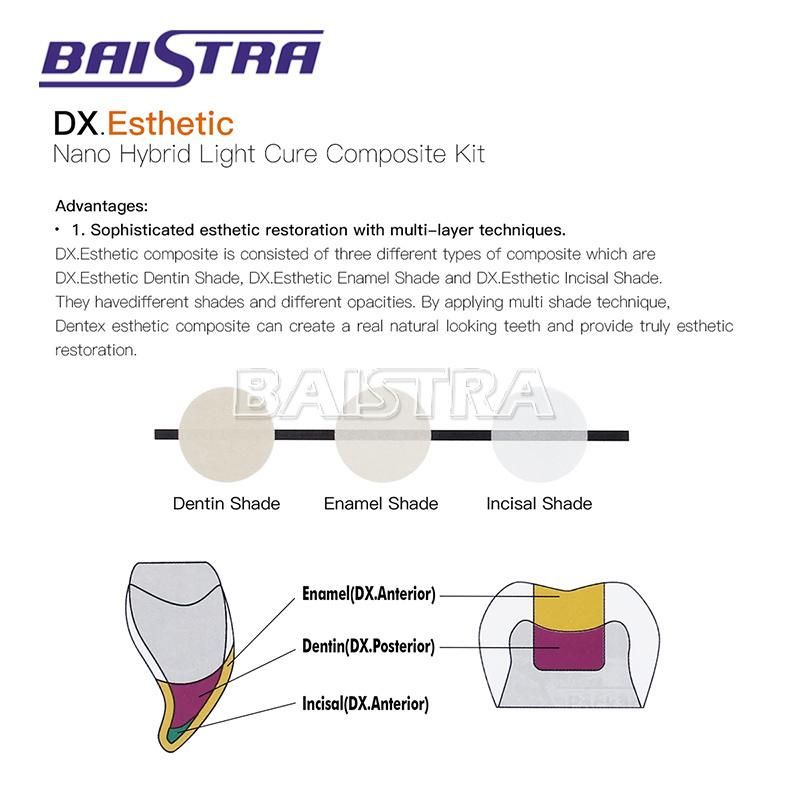Dentex Esthetic Universal Dental Anterior Light Cure Composite Kit