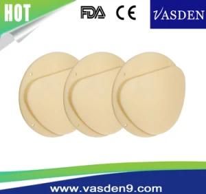 Dental Amann Girrbach Milling PMMA Resin Block/Denture Material