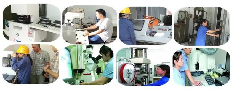 Wood Saw Sawmill Cutting Bimetal Band Saw Blade for Hardwood Cutting
