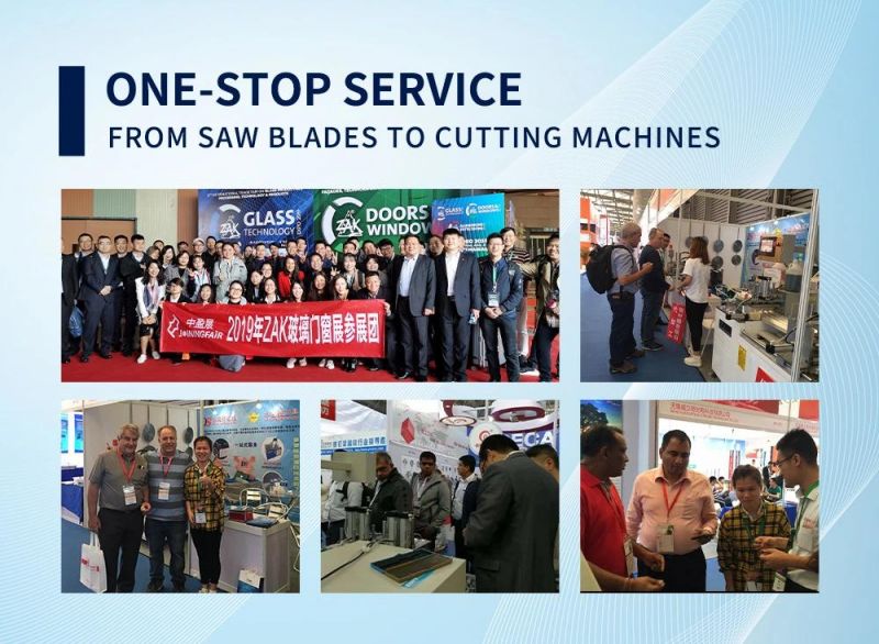 Factory Supply W6 HSS Circular Saw Blade for Carbon Steel Tube Cutting with Coating