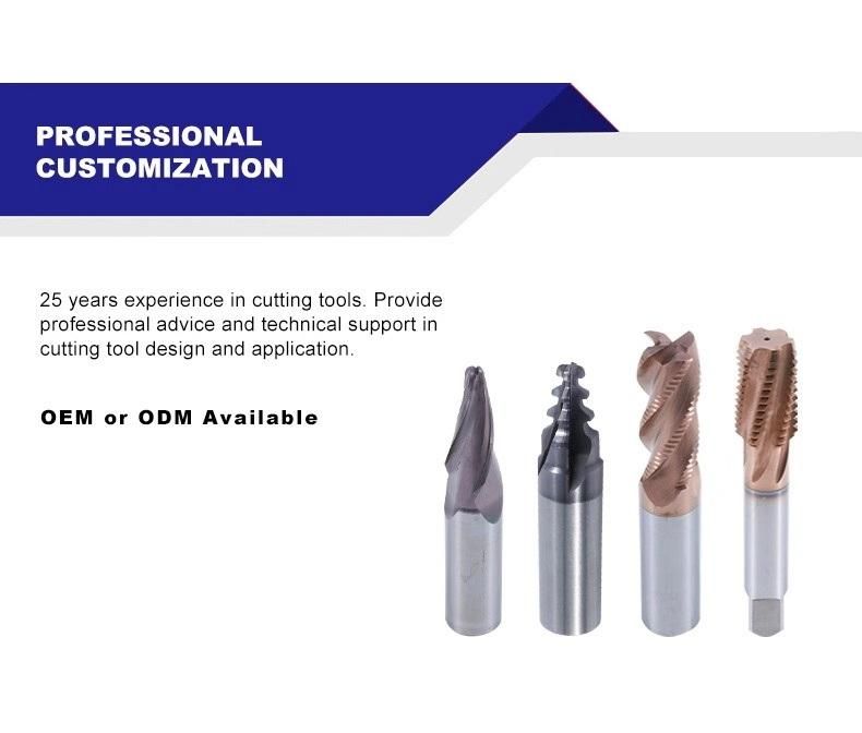 Detachable Solid Carbide Straight Slot 6 Flutes End Mill Head with Fixed Hole