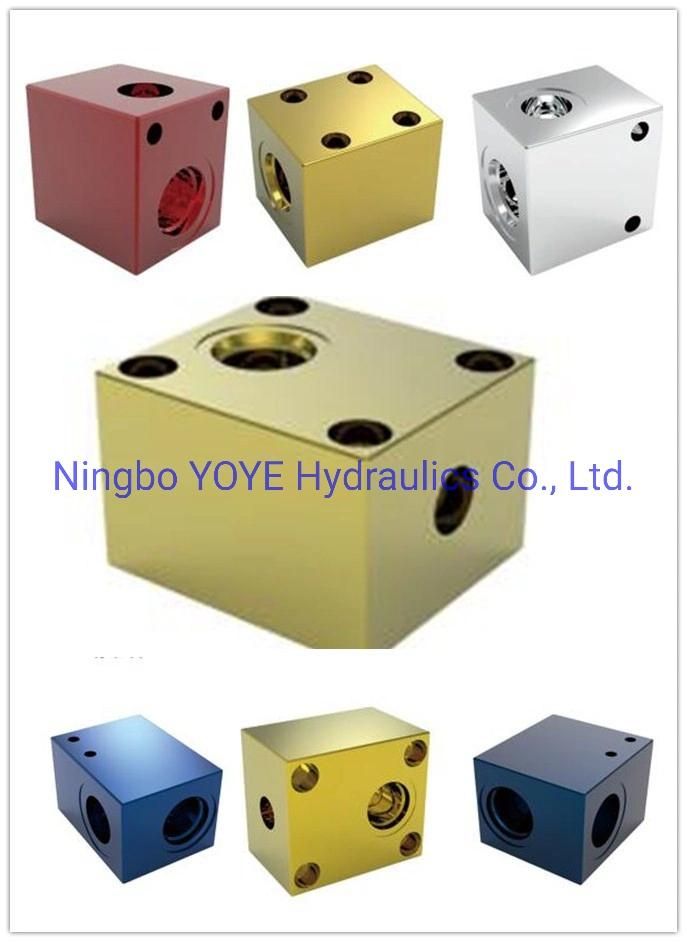 Hydraulic Cover Plates Manifold Blocks