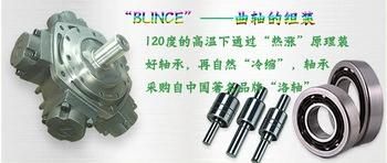 760 Tons Injection Molding Machine Motor 31-4500 Radial Piston Hydraulic Motor (replace Intermot NHM31 series)
