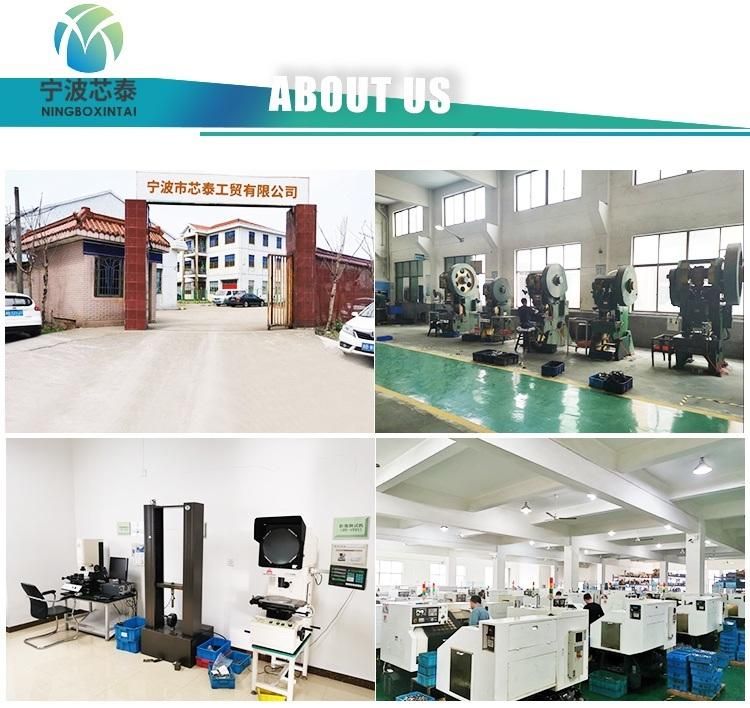 OEM China Factory Manufacturer Hose Assembly Hose Connector Hydraulic Hose Ferrule Fittings on Sale Competitive Price Hydraulic Adapters Male Fittings Bsp