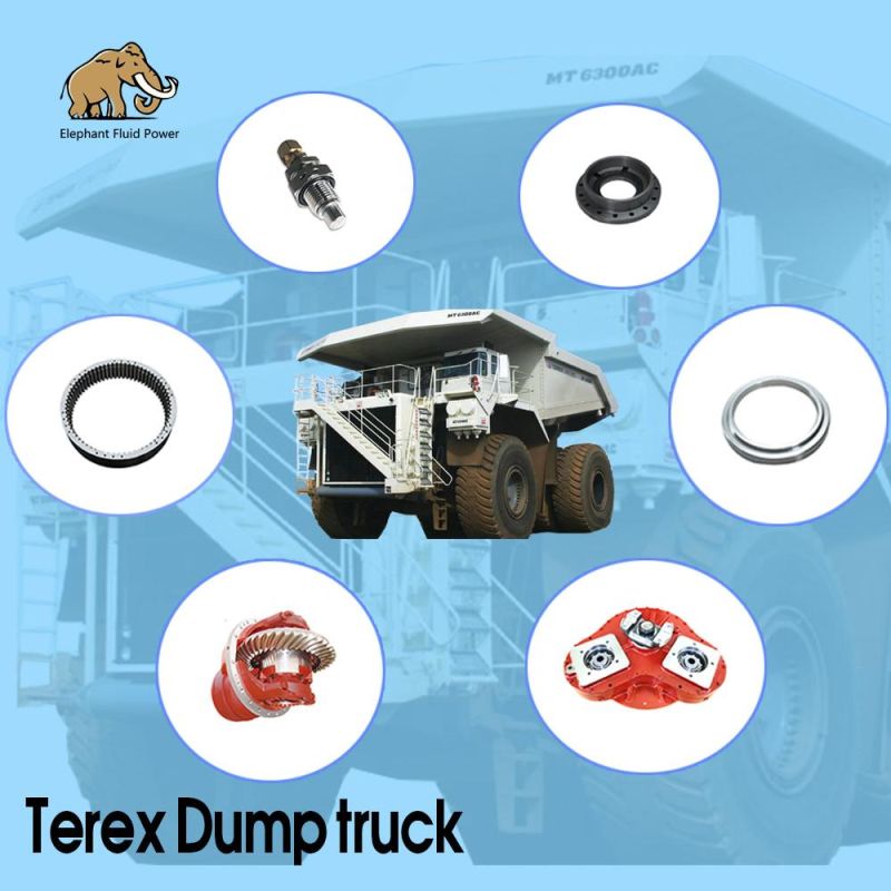 Dump Truck Parts Differential Assembly 15007642 for Terex