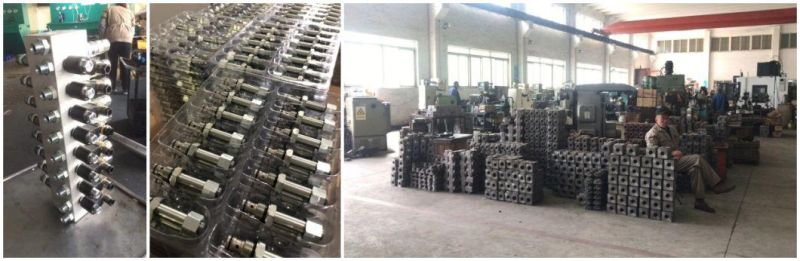LL002 High pressure Hydraulic Manifold Block