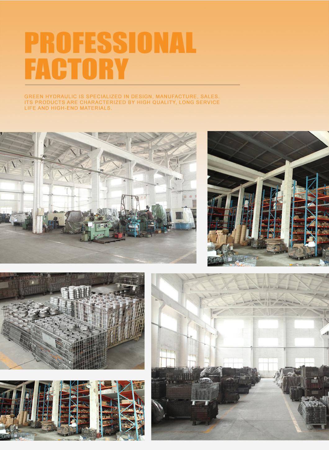 High Quality Bmr Series Hydraulic Motor with Brake for Sale