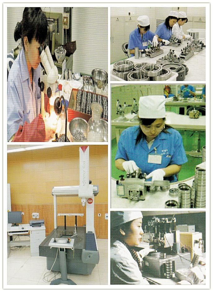 Stainless Steel Balls, Carbon Steel Ball, Chrome Bearing Steel Ball for Bearing, Grinding Machine