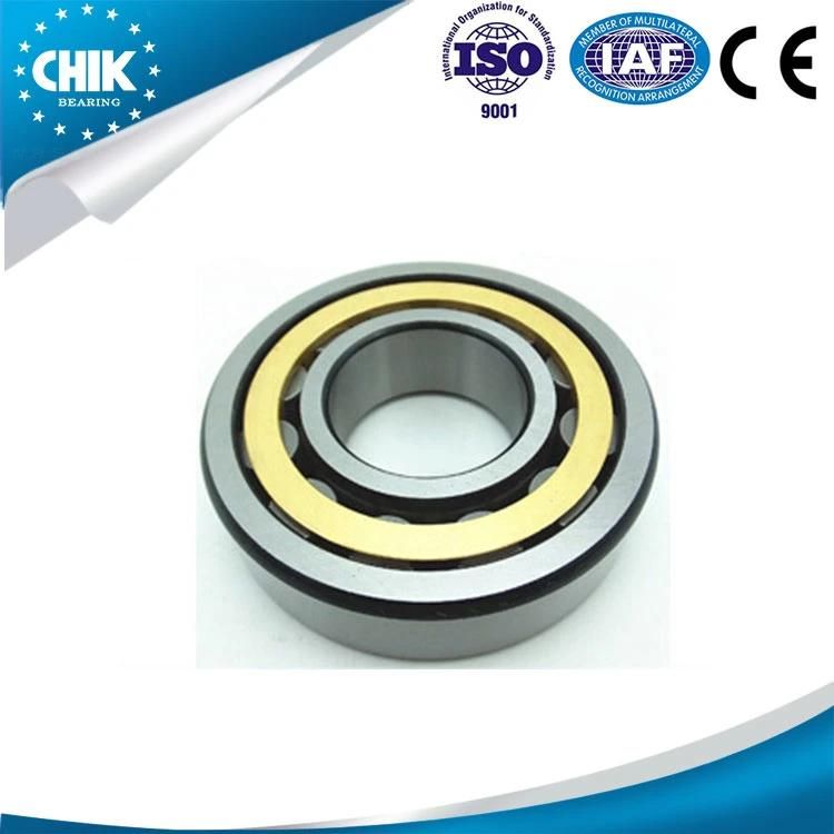 Cylindrical Roller Bearing N209ecp N219ecp N308ecp N315ecp N320ecp N211ecp N220ecp N309ecp N316ecm N321ecp Roller Bearing