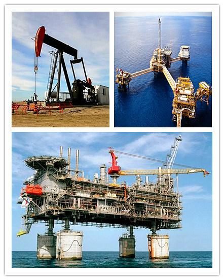 Zys Patent Product Mud Lubricating Bearings for Drill Motor