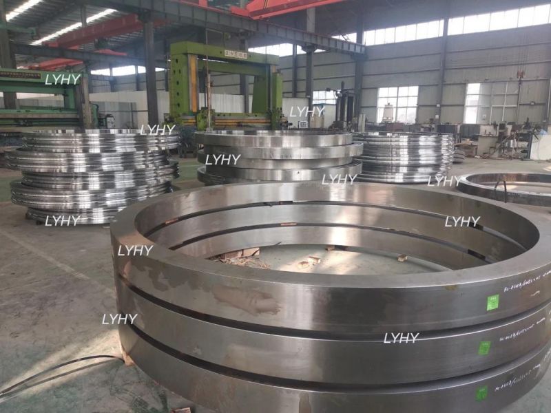 Large Slewing Bearing Ring 161.50.2800.891.41.1503 Roller Turntable Bearing with External Gear