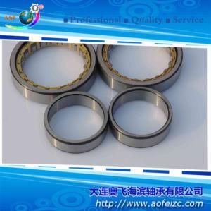 Cylindrical Roller Bearing NU1004M/32104H with OEM Service
