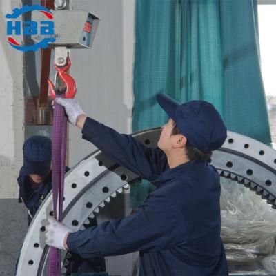 134.32.100 1164mm Triple Rows Roller Slewing Bearing with Internal Gear