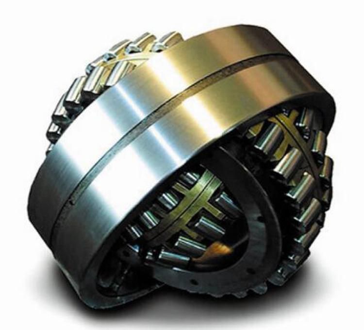 900mm Nnu40/900 44821/900 Double Rows Cylindrical Roller Bearing