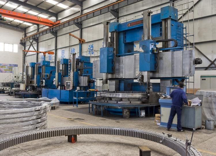 670mm Nn49/670 42829/670 Double Rows Cylindrical Roller Bearing