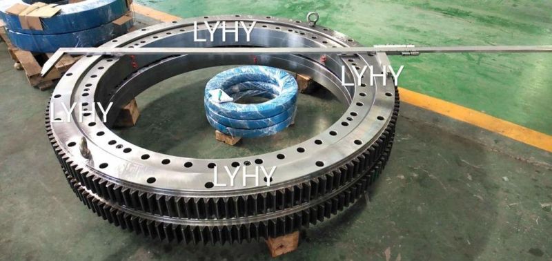 Slewing Ring Bearing Ring Bearing Turntable Bearing 9I-1b30-0995-0558