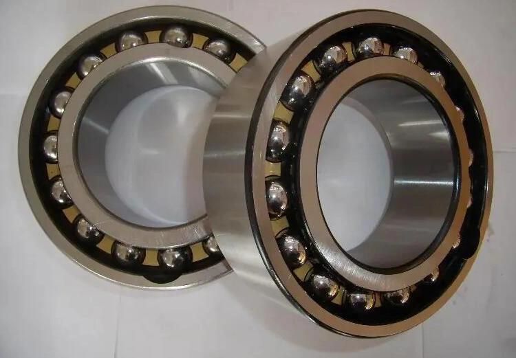 630mm 619/630 High Precision Deep Groove Ball Bearing