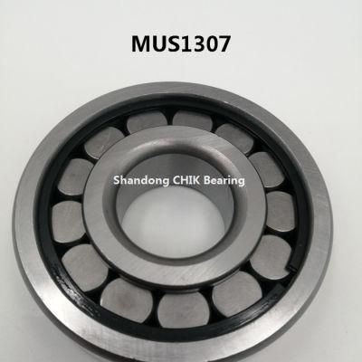 Mus1307-Um Auto Bearing Car Bearing Cylindrical Roller Bearing Mus1307