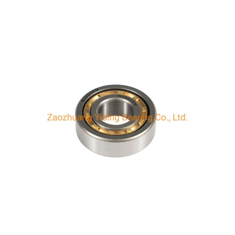 Hot Sales Cylindrical Roller Bearings Nu Nn Nj All Series