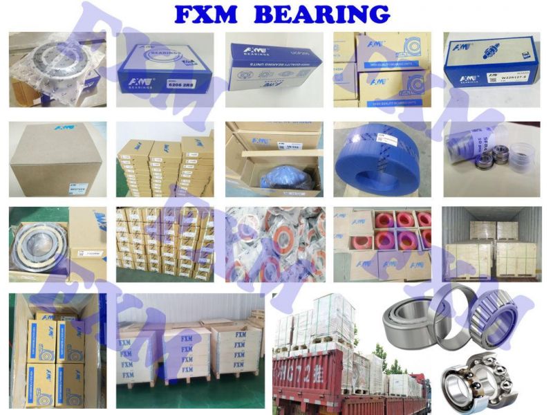 Pillow Block Bearing /Insert Bearing/Bearing Unit/Bearings Housing/Agricultural Bearing/305UC Ucf UCFL UCT UK