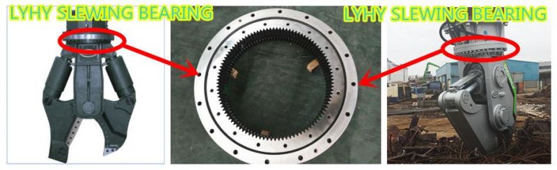 Small Size Slewing Bearing Ring Bearing for Grapples