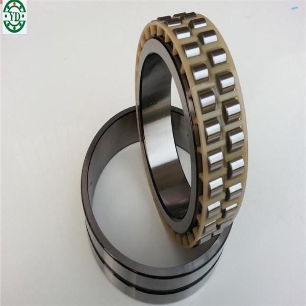 Cylindrical Roller Bearings N1010k Nn3010k
