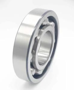 Cylindrical Roller Deep Groove Ball Bearing Iron Sealed Type Model No. 6411