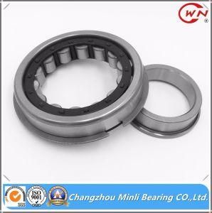 Cylindrical Roller Bearing with Snap Ring Nup208nr