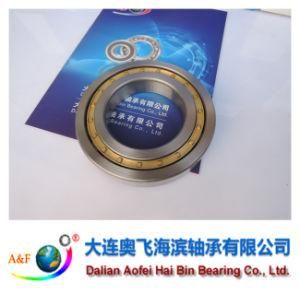 A&F Bearing/ Cylindrical Roller Bearing NJ234M