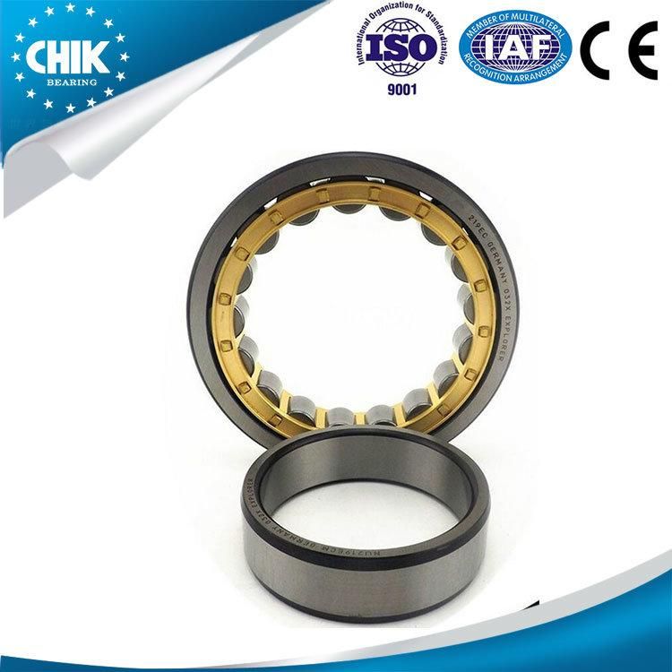 Chrome Steel Cylindrical Roller Bearing N1060 N1064 N1068 N1072 N1076 N1080 N1092 N1096
