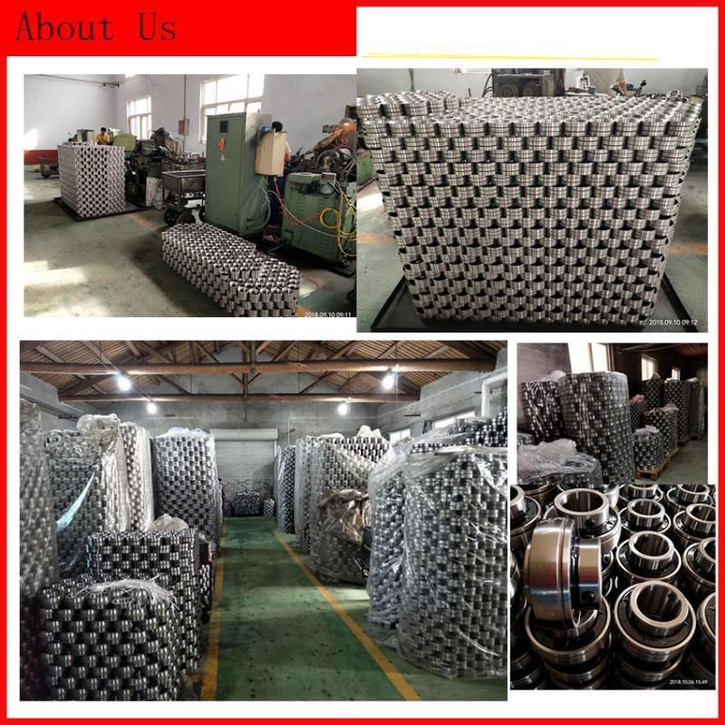 Gold Supplier Textile Machinery Bearings Pillow Block Bearing (UCP308) Distributor Auto Bearing