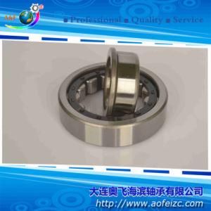Auto Parts Steel Bearing Cylindrical Roller Bearings NJ319E