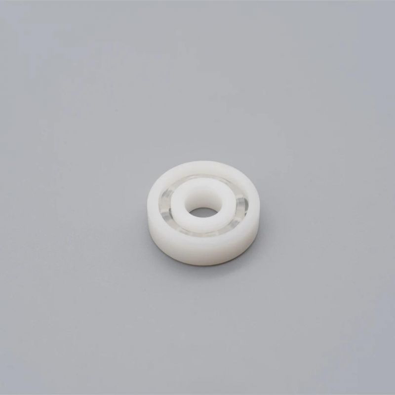PP Bearings 6013 POM Plastic Bearing 6013