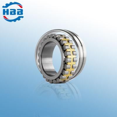 480mm Nn3096 3282196 Double Rows Cylindrical Roller Bearing
