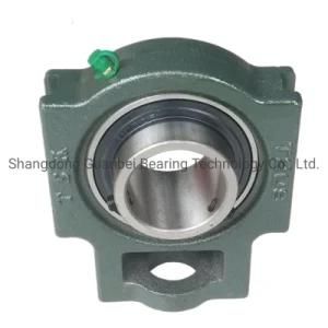 Ball Bearing Pillow Block Bearings Tr Bearing Price with Cast Iron Flange Bearing Housing for Agricultural Machinery Motorcycle Parts