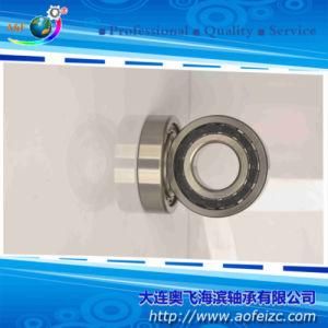 A&F Cylindrical Roller Bearing (NJ311E) with High Performance