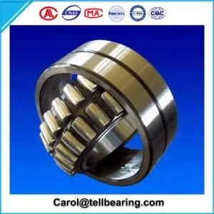 Spherical Roller Bearing/Roller Bearing with Bearings