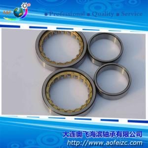 Manufacturer Cylindrical Roller Bearing (NU1008M)