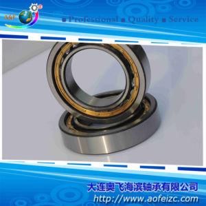 Cylindrical Roller Bearing NU1013M Roller Bearings with OEM Service