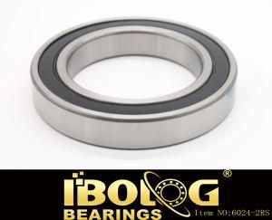 Hot Sale Deep Groove Ball Bearing Sealed Type Model No. 6024