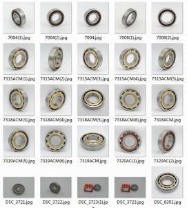 Angular Contact Ball Bearings 7202accbm 7302be-2rzp 7302becbp 7302bep 7203bey 7203be-2rzp 7203bep 7203becbp 7203begap 7203becbm 7203accbm