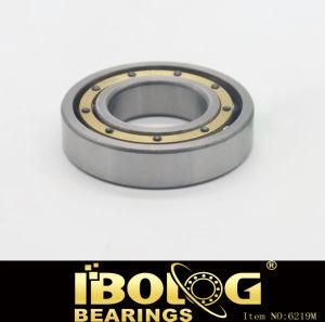 Hot Sale Self-Aligning Deep Groove Ball Bearing Model No. 6219m